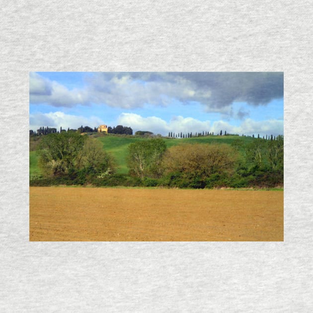 Tuscany landscapes by annalisa56